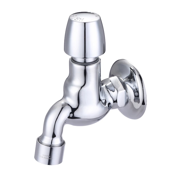 Slow-Close Wallmount Faucet in Chrome